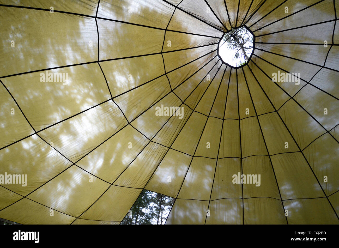 Parachute canopy used as a shelter, showing foliage outside. Focus in