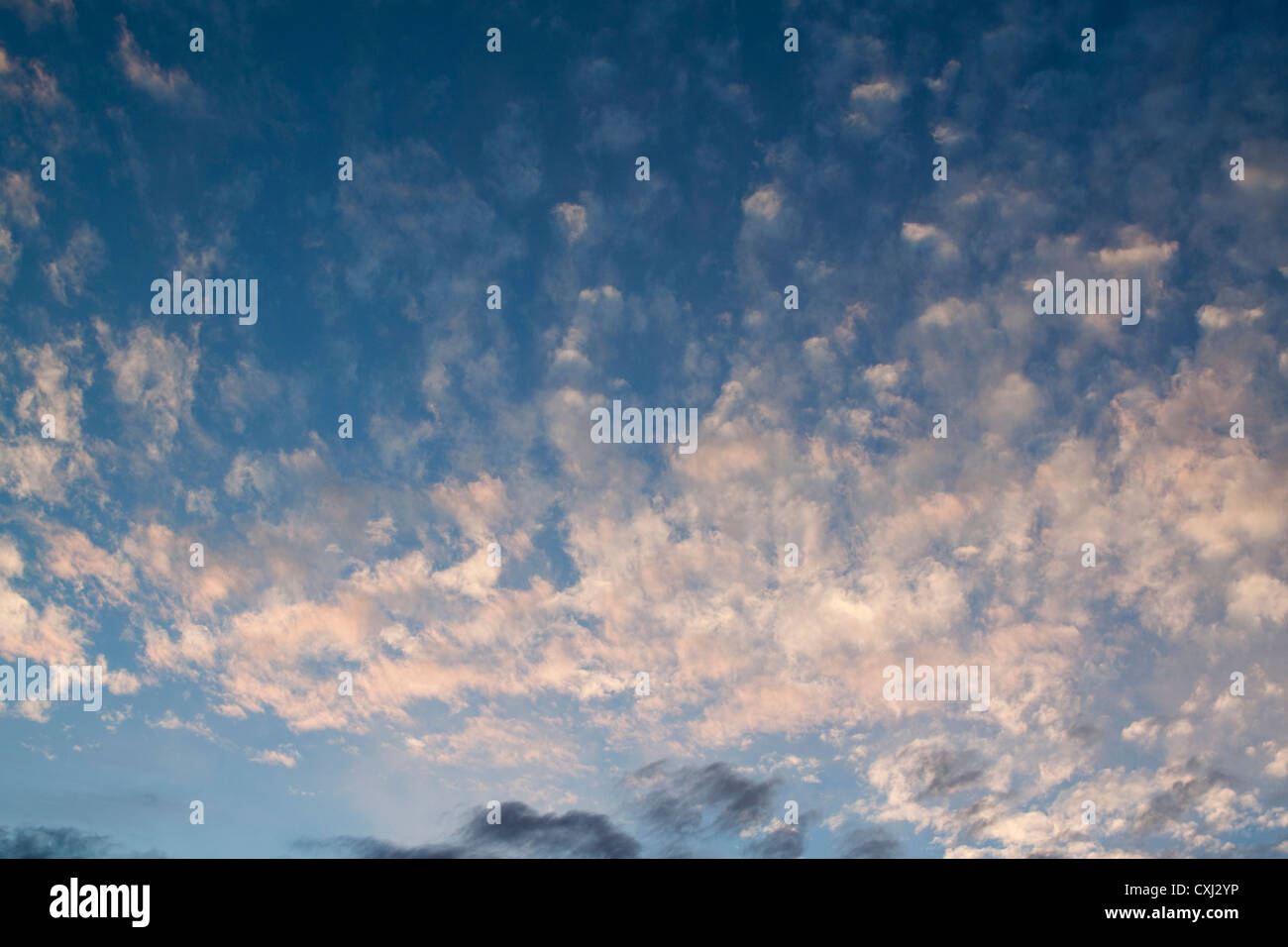Altocumulus clouds, the so-called mackerel sky, near sunset Stock Photo