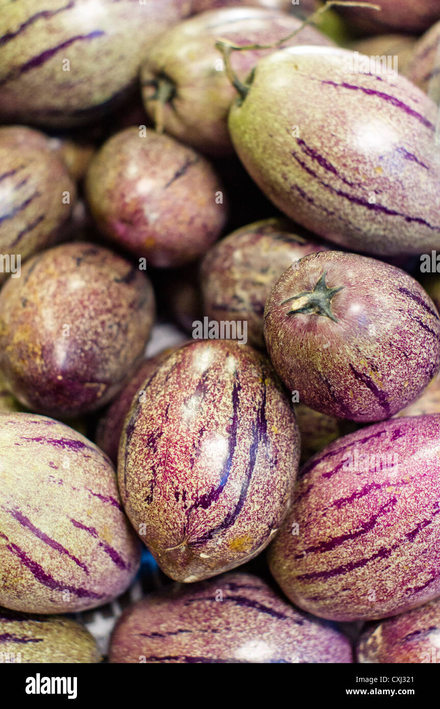 pepino fruits, found in berastagi of sumatra, indonesia. Stock Photo