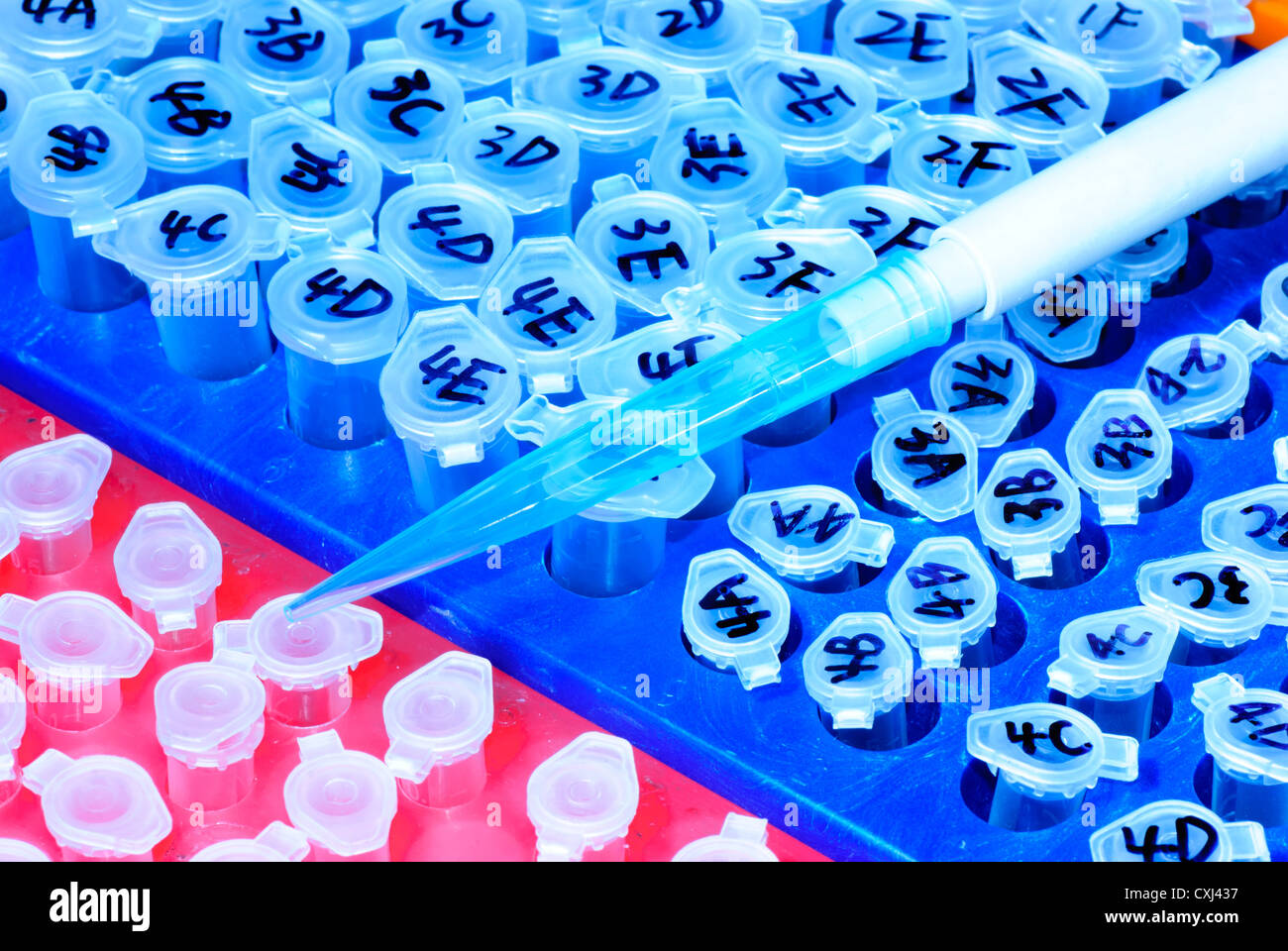 science test centrifuge tube Stock Photo Alamy