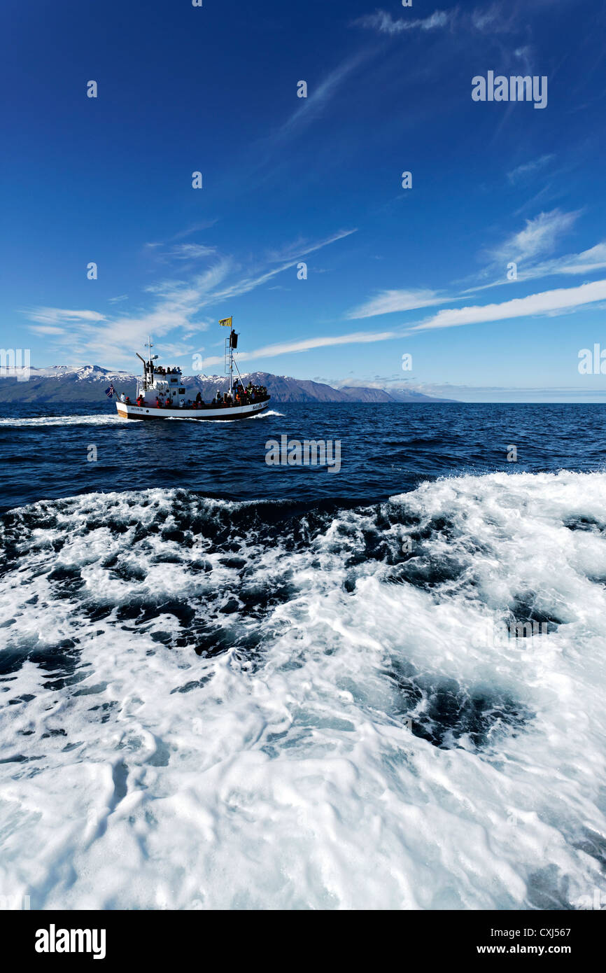 Whale watching boat, Húsavik Iceland Stock Photo - Alamy