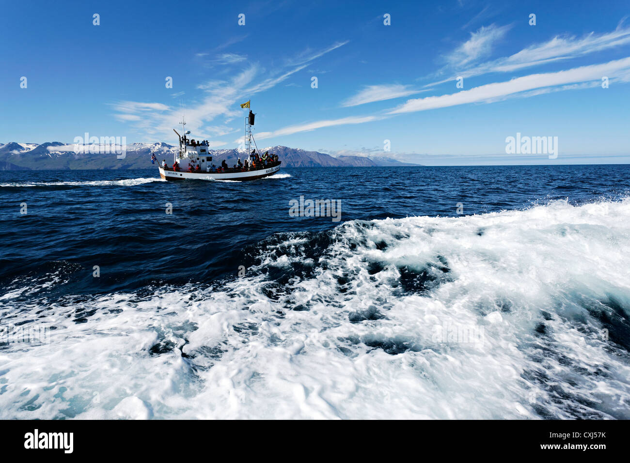 Whale watching boat, Húsavik Iceland Stock Photo - Alamy