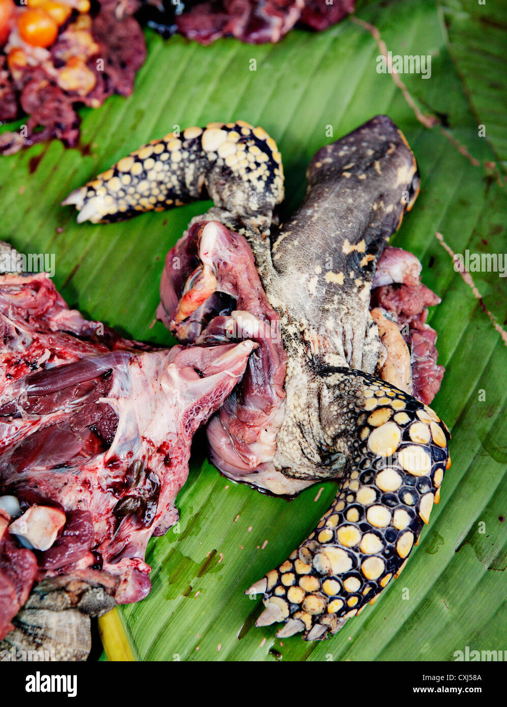 Turtle meat for sale at Belen market in Iquitos, Amazon, Peru. Stock Photo
