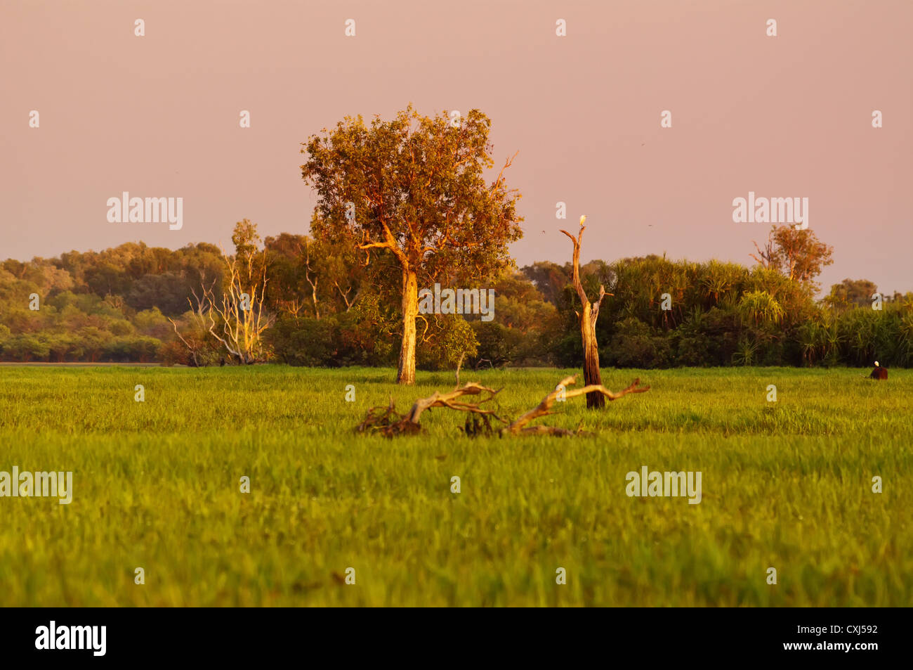 australian landscape Stock Photo