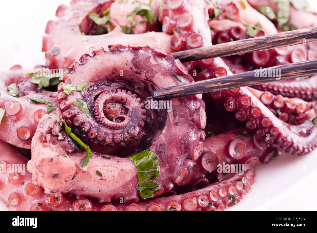 Grilled Octopus With Herbs As Closeup On A White Plate Stock Photo Alamy