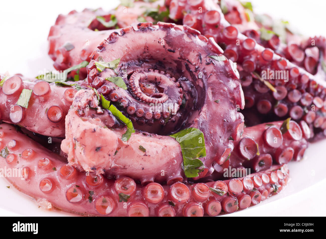 Pulpo paul hi-res stock photography and images - Alamy