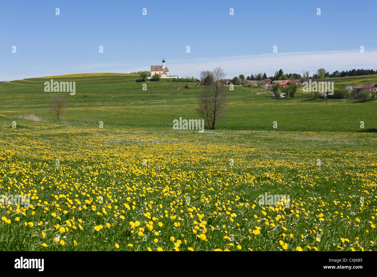 Germany, Bavaria, View of green landscape, Jenhausen, Gemeinde Seeshaupt in background Stock Photo