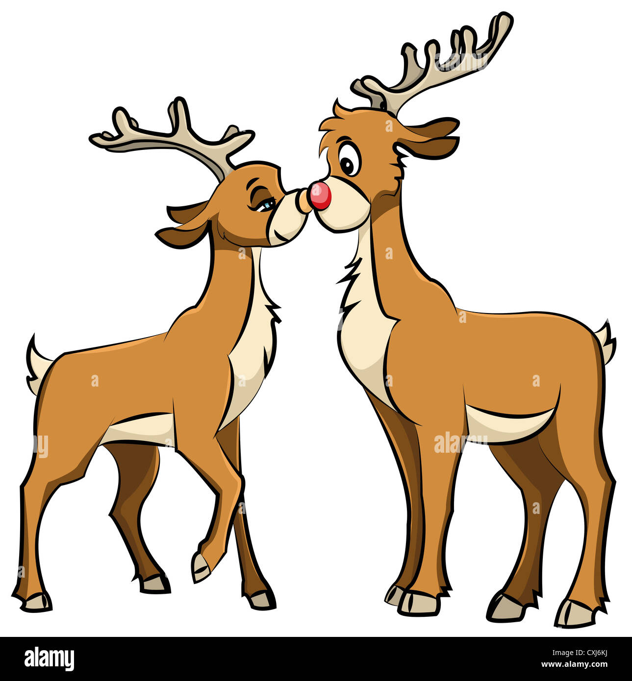 Reindeer Couple Stock Photo