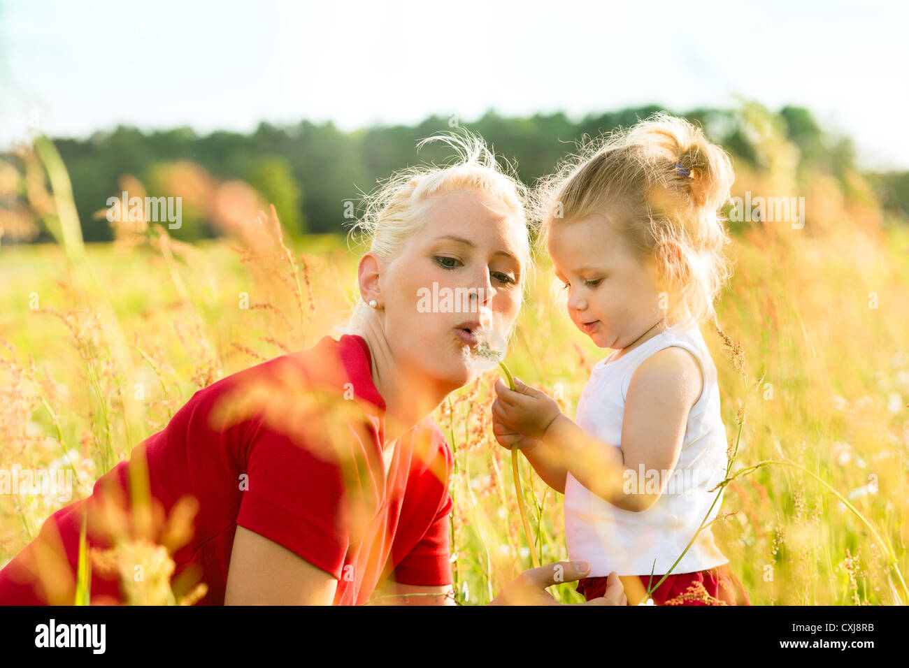 Family summer - blowing dandelion seeds in sunshine Stock Photo