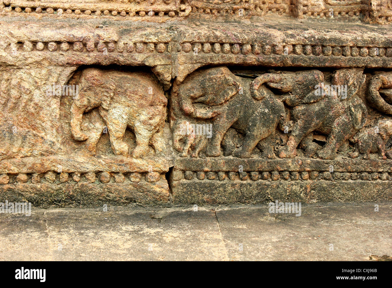 Ancient temple carvings at Konark temple, Bhuvneshwar, India Stock Photo