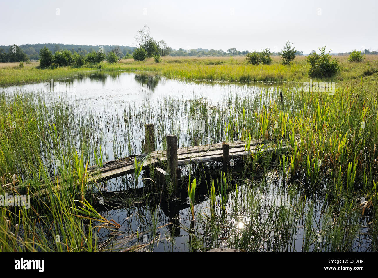 The bridge across the stream Stock Photo - Alamy