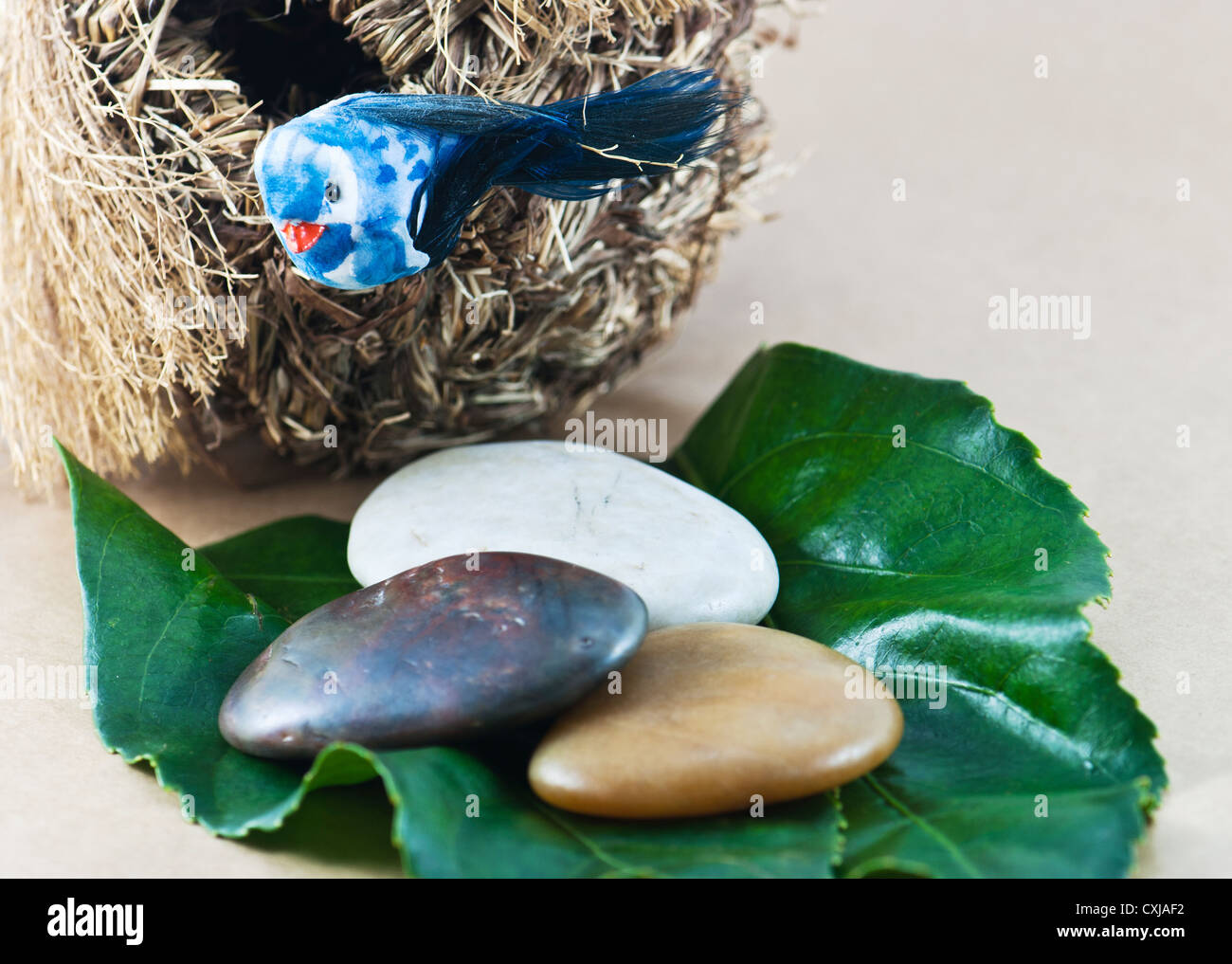 Decorative bird's nest with a divers stones Stock Photo