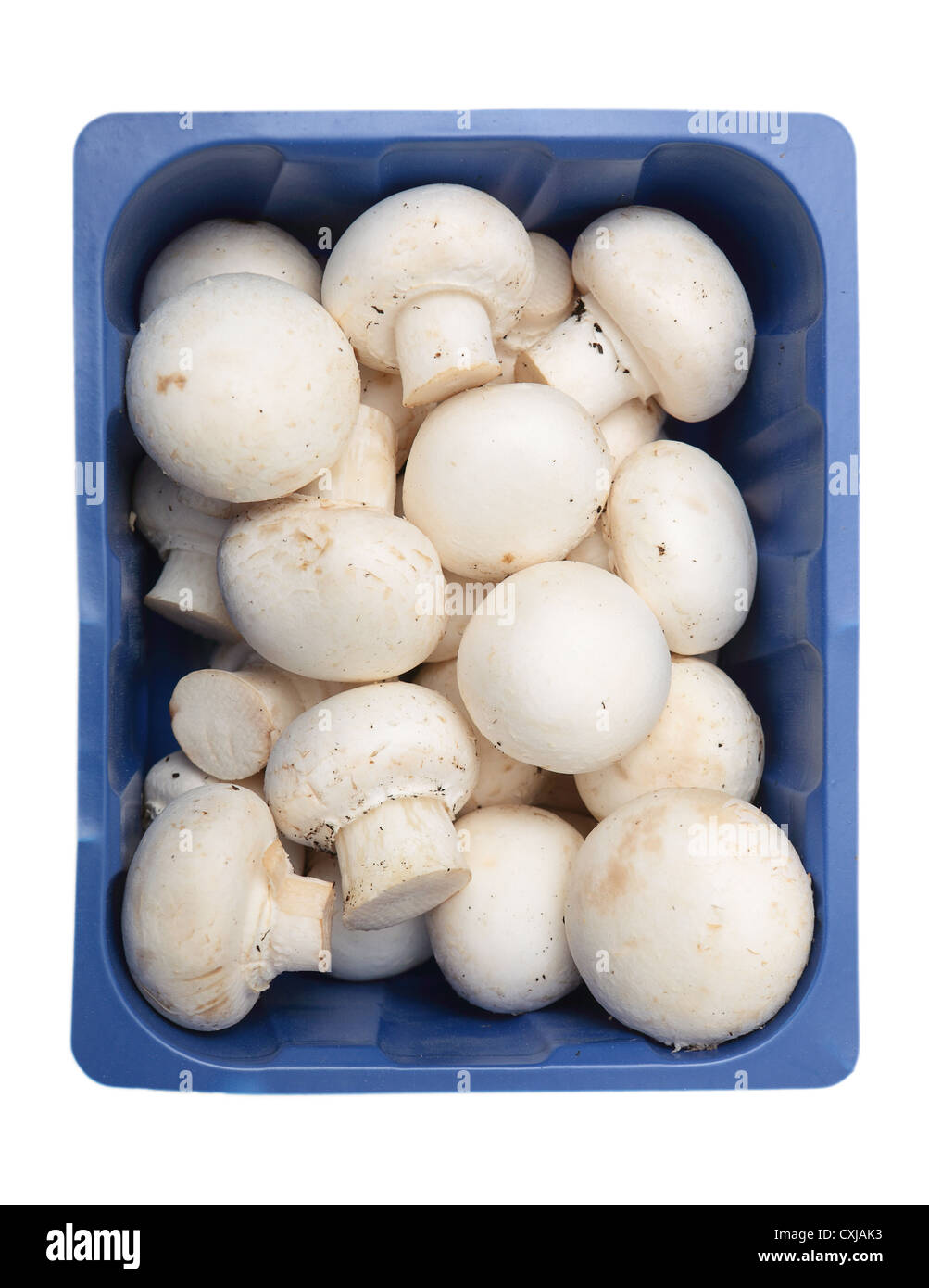 Button mushrooms, Agaricus bisporus, the common, champignon, crimini, white or table mushroom, in a supermarket tray, isolated Stock Photo