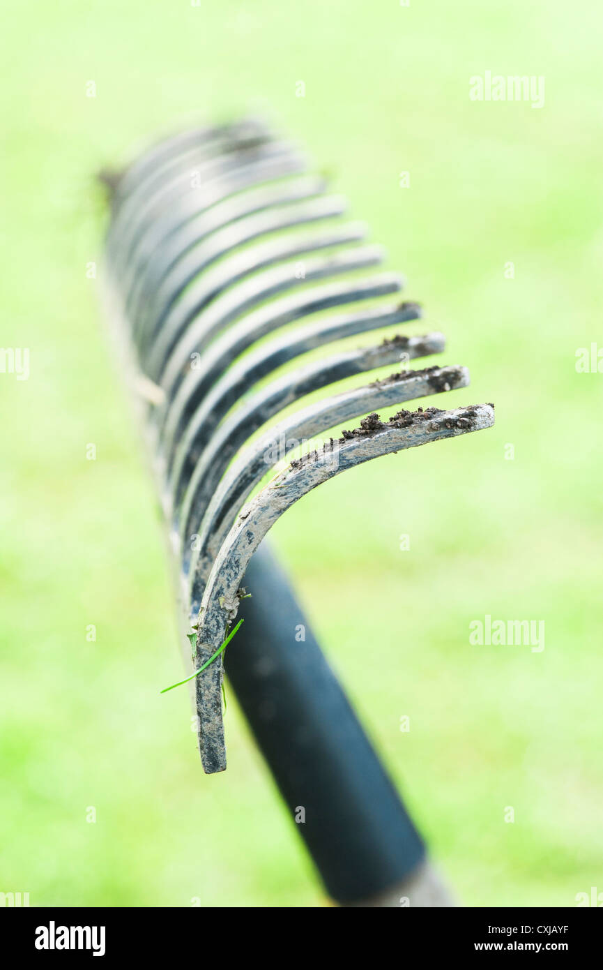 Closeup of rake with green grass in the background Stock Photo