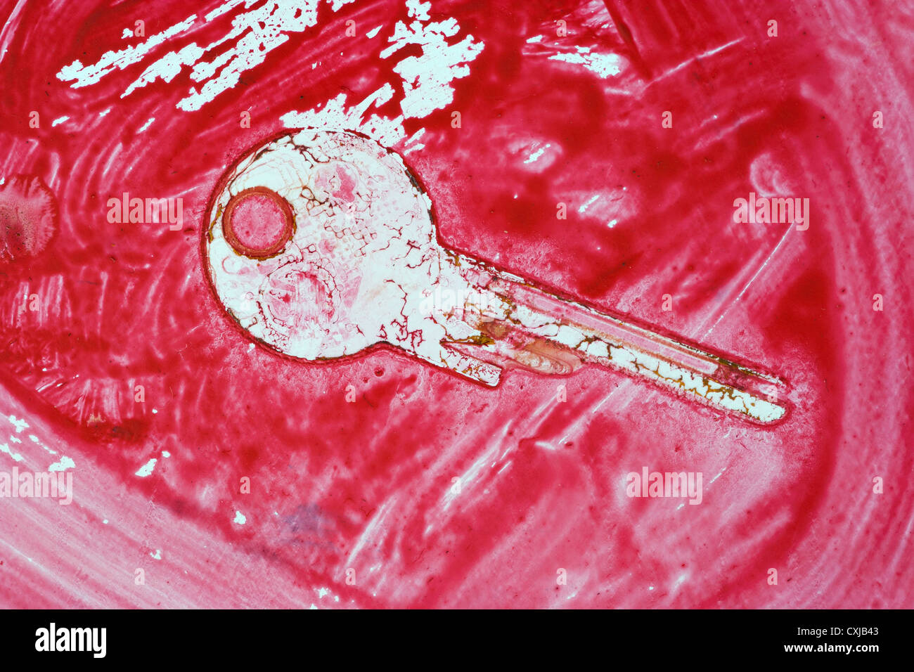 Fingerprint equipment hires stock photography and images Alamy