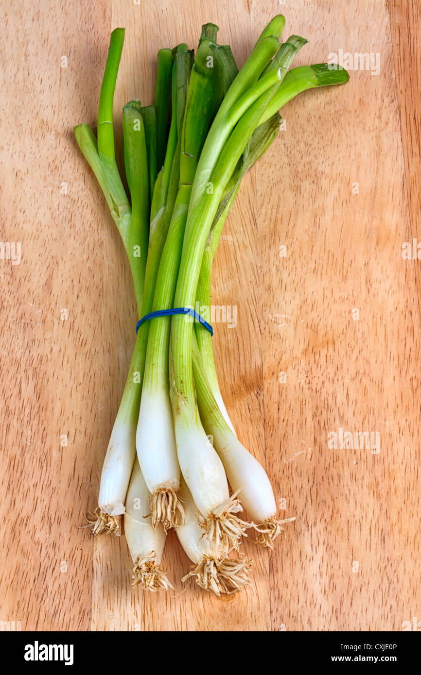 Gibbon onion hires stock photography and images Alamy