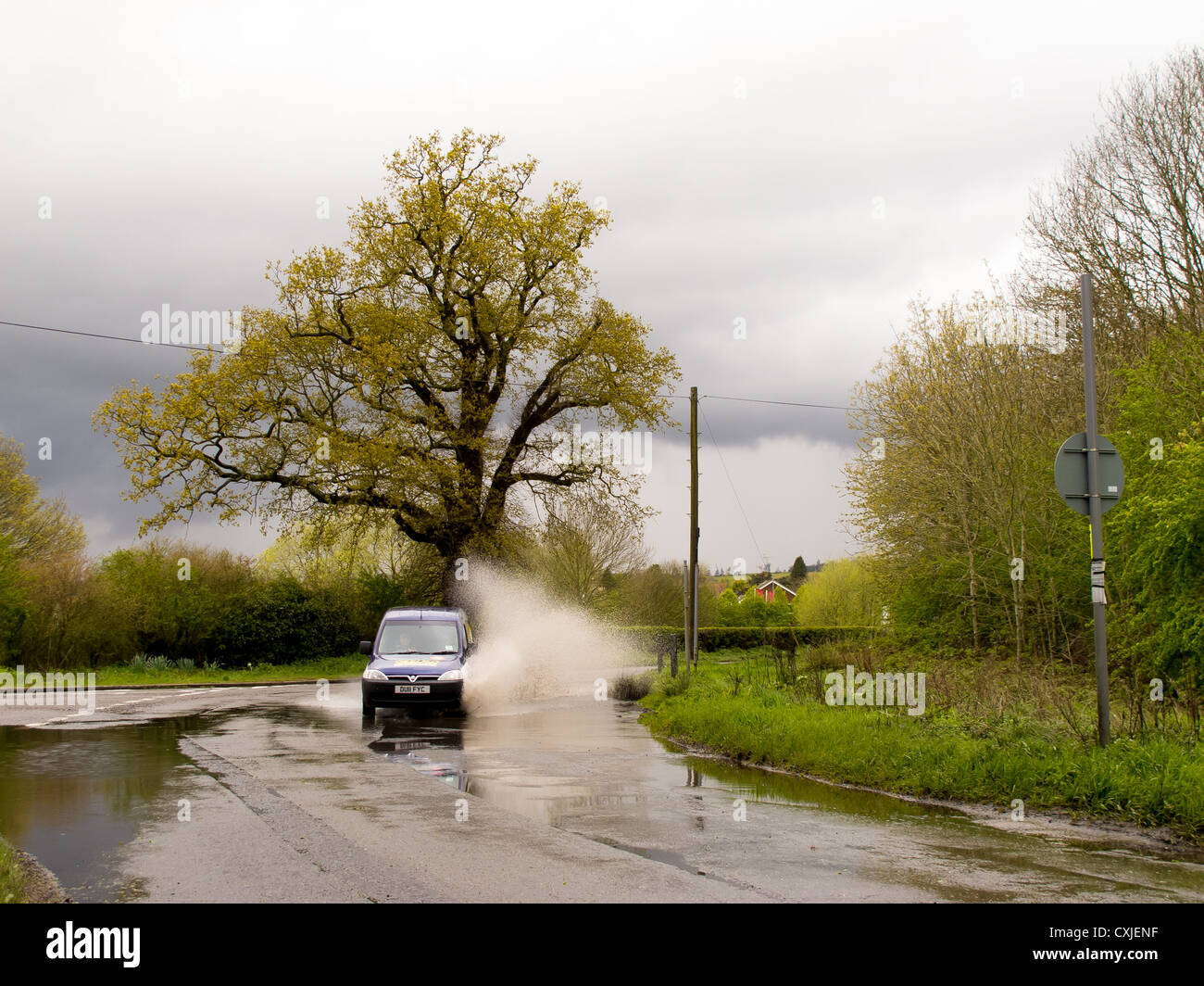 Nutfield marsh hires stock photography and images Alamy