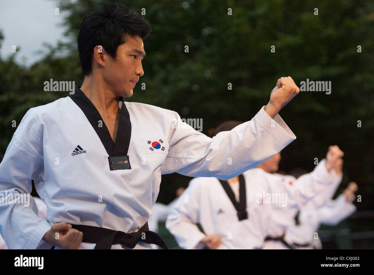 adidas taekwondo korea