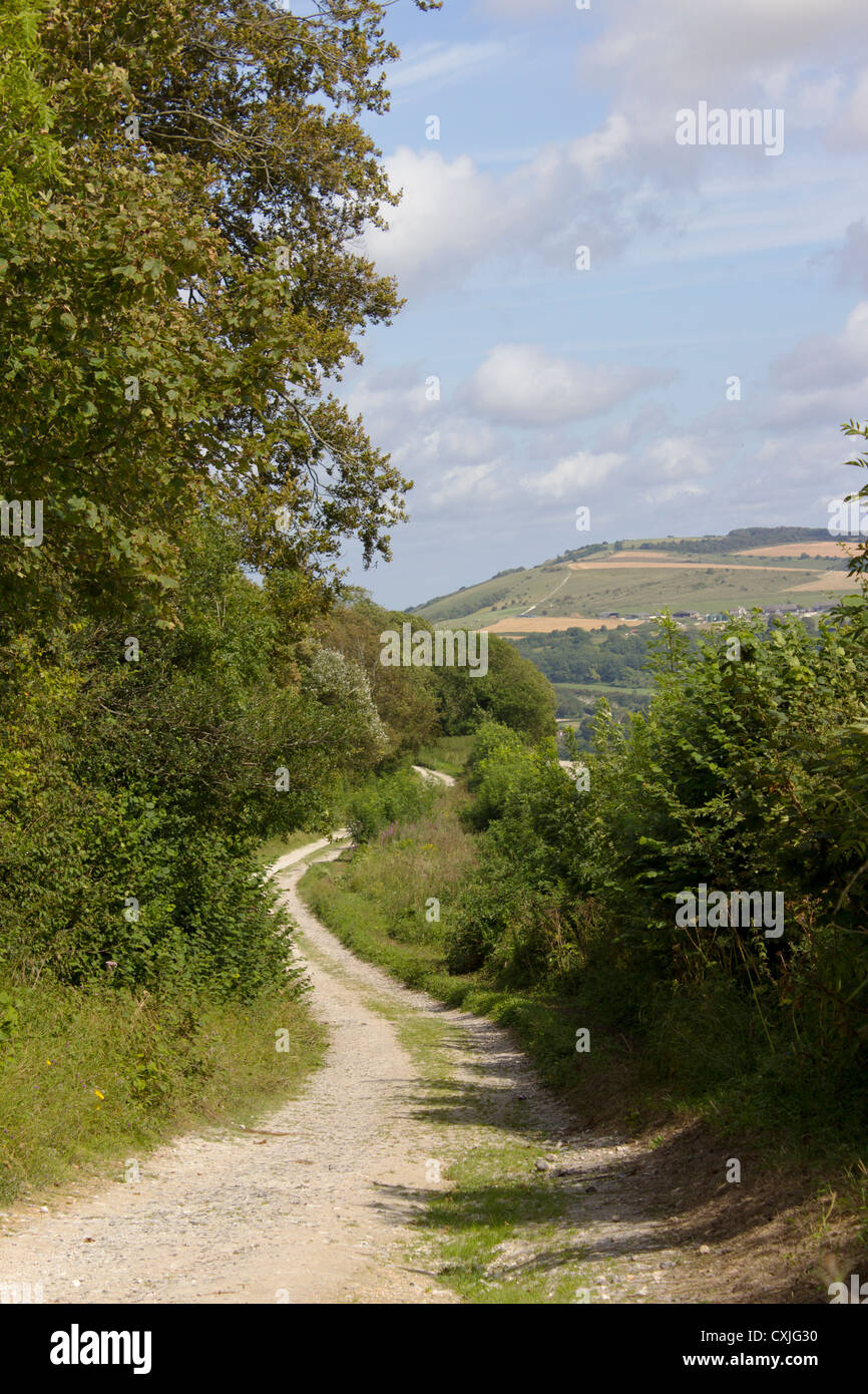 South Downs Way, Bury Hill, West Sussex, England, UK Stock Photo