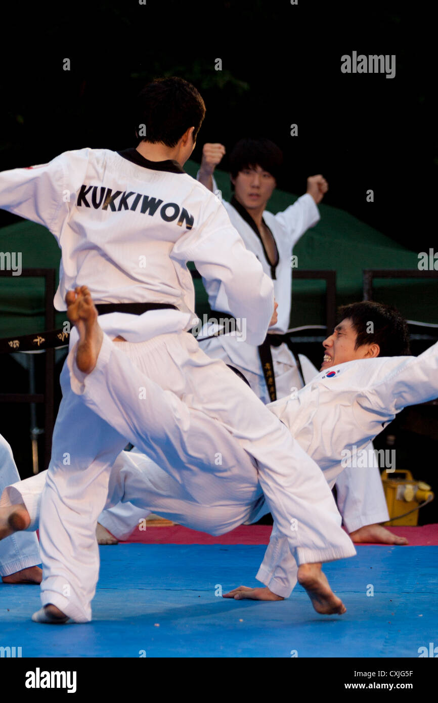 Taekwondo demonstration by Kukkiwon Demonstration Team of South Korea
