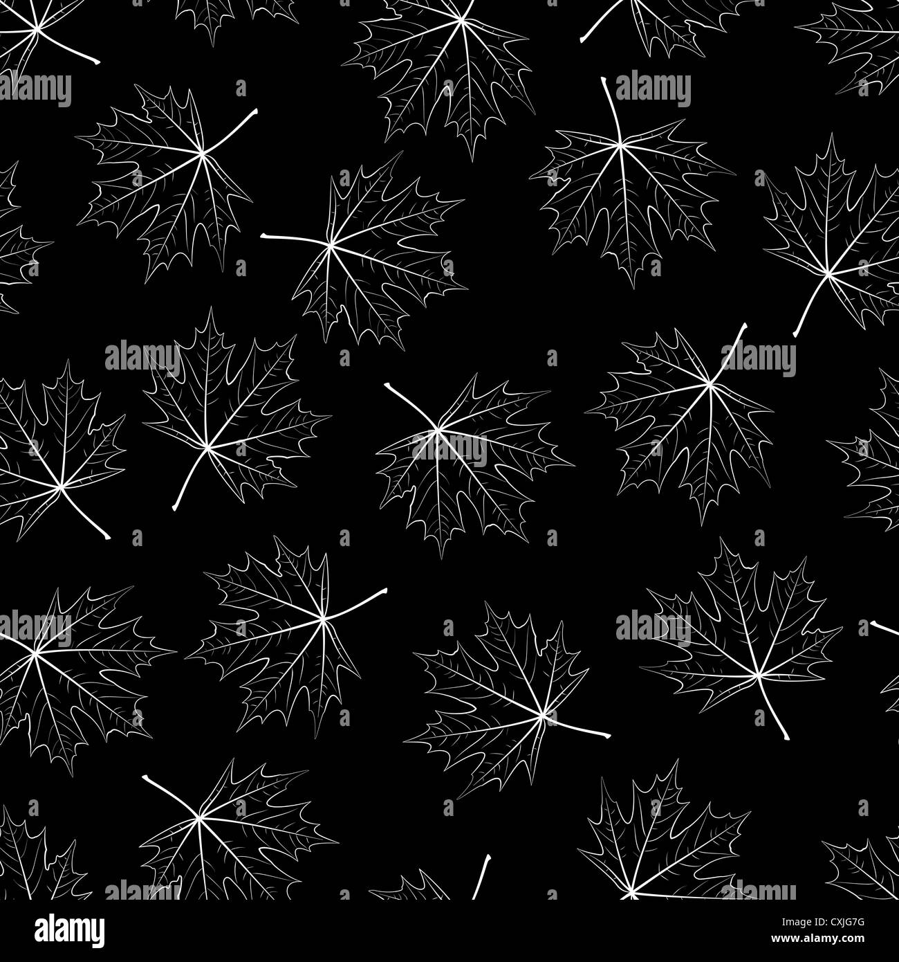 Deciduous seamless background - white carved maple leaves on a black ...