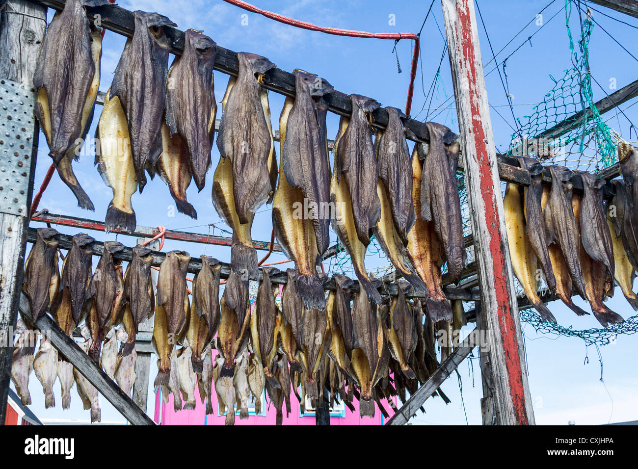 эскимосские маски. канадские эскимосы. гарпун инуитов. эскимосский поворотный гарпун. кару ашевак.