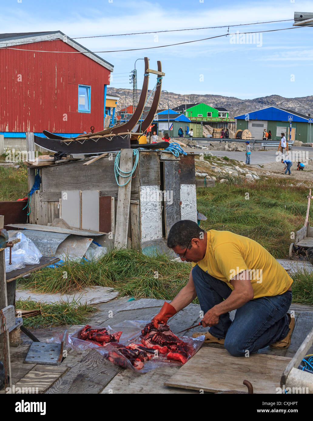 Local Inuit man slices seal meat in Ilulissat, third largest town in Greenland Stock Photo