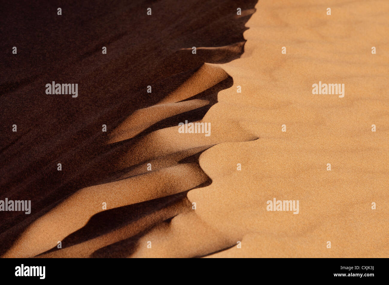Wind blowing on a sand dune in the Sahara Desert at Erg Chigaga ...