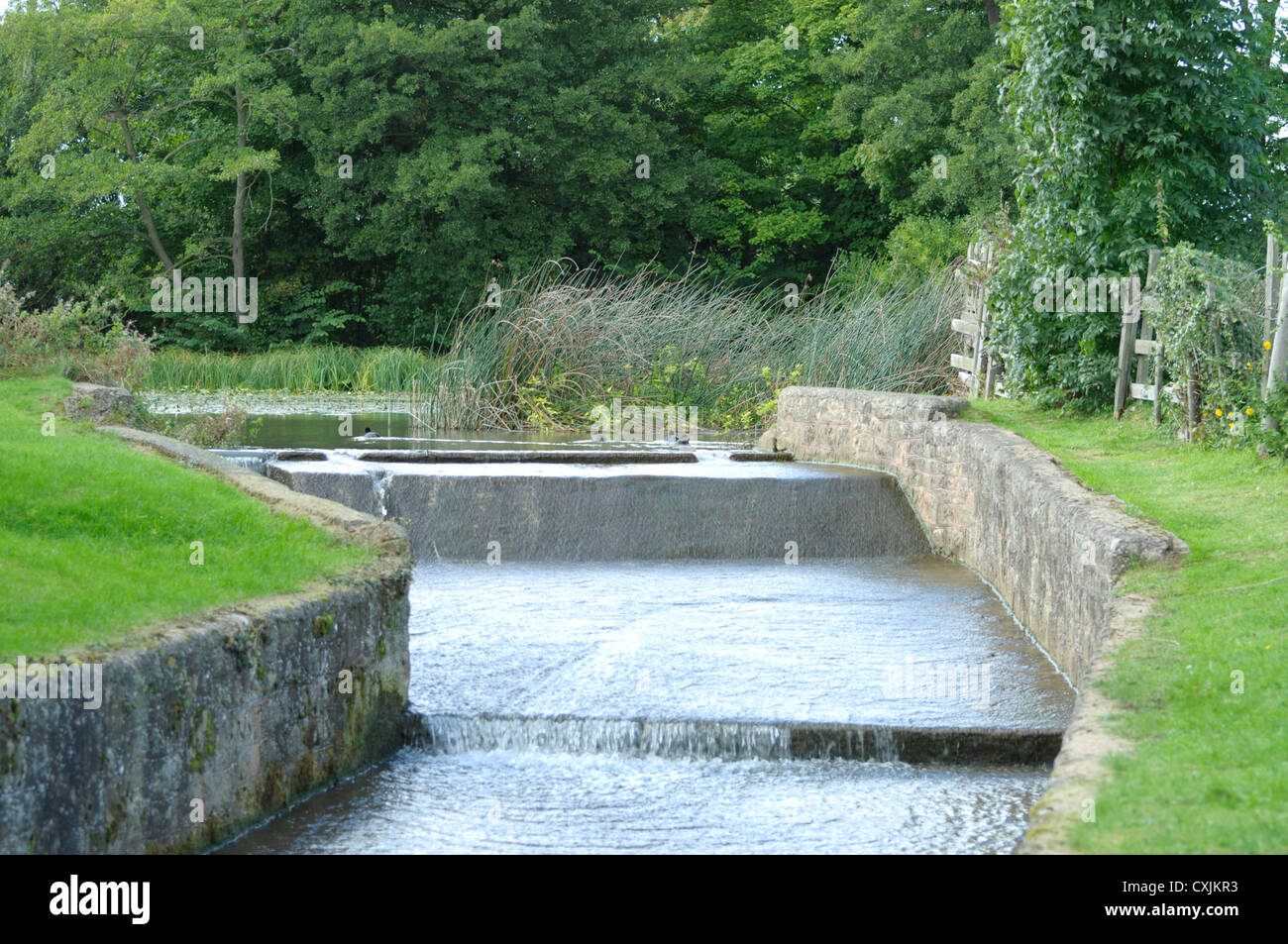 Stream with trees and grass hi-res stock photography and images - Alamy