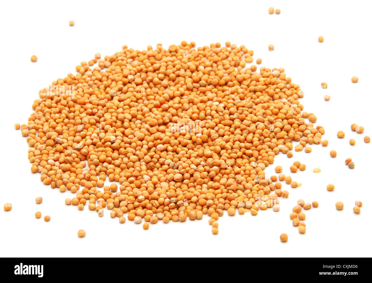 Whole mustard seeds hires stock photography and images Alamy