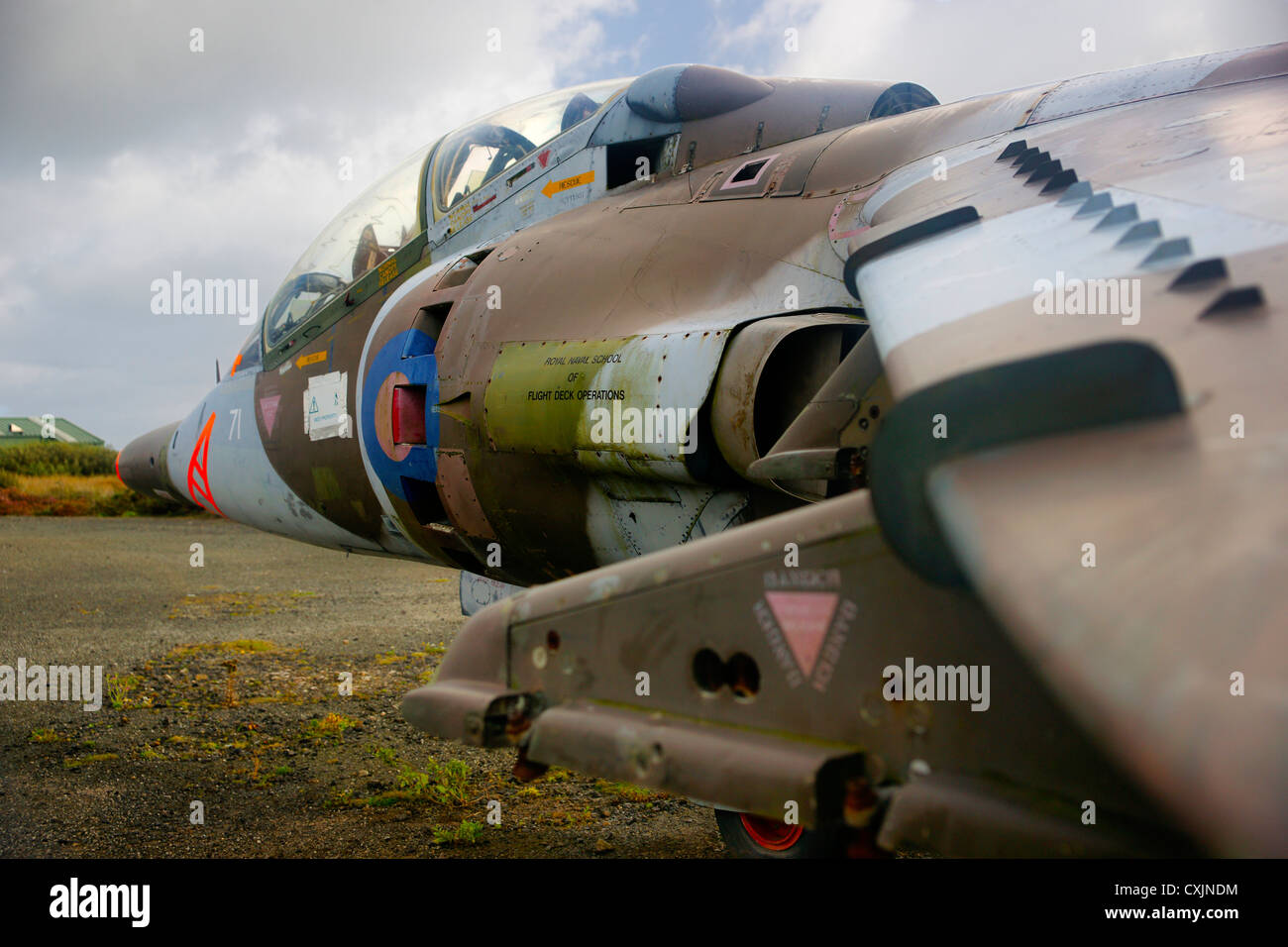 Derelict Harrier'GR3 XZ969, Sea Harrier FRS1 ZD581, and Harrier T4 XW271,  at Predannack airfield, Cornwall, UK Stock Photo