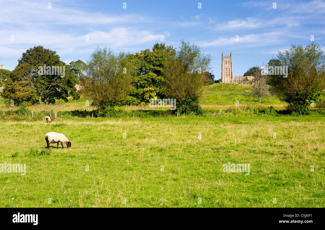 St James Church seen across meadow with sheep in old Cotswold town of Chipping Campden Stock Photo