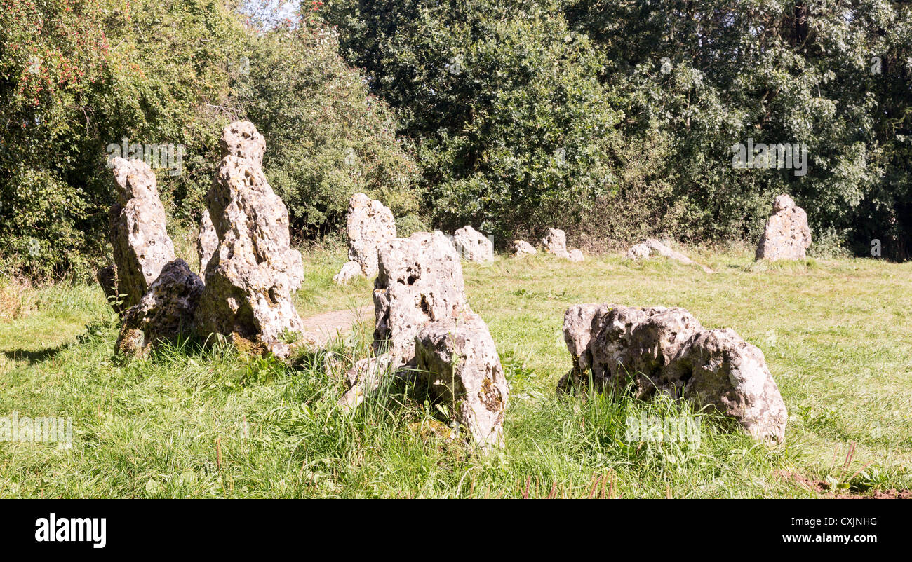 Prehistoric Rollright stone circle known as King's Men in Cotswolds England Stock Photo