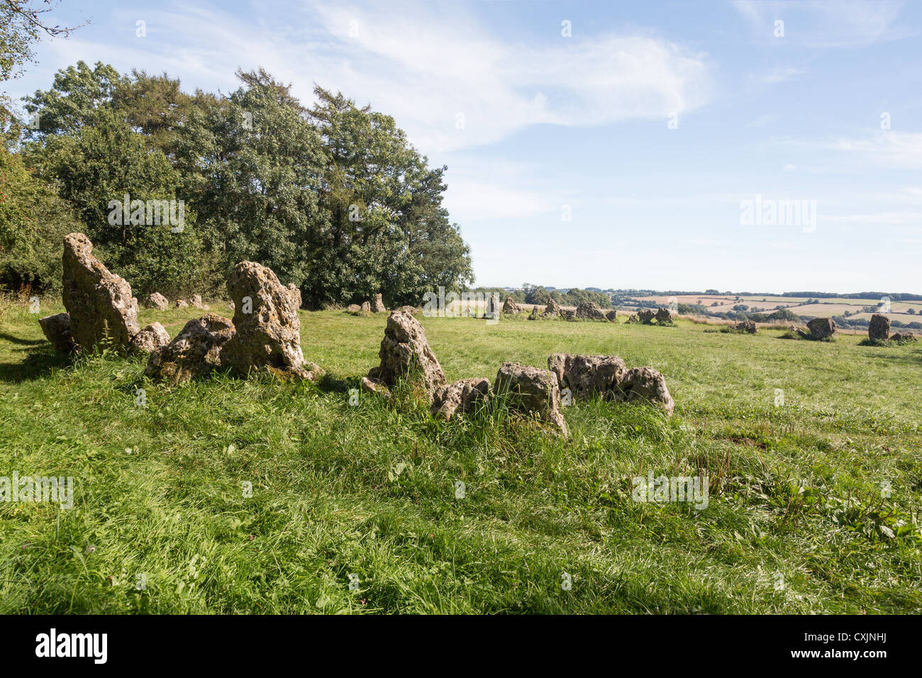 Prehistoric Rollright stone circle known as King's Men in Cotswolds England Stock Photo