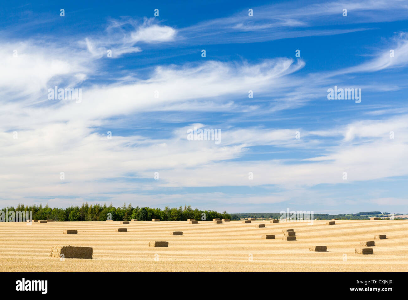 Dramatic blue sky and clouds over harvested corn in Cotswolds in England Stock Photo