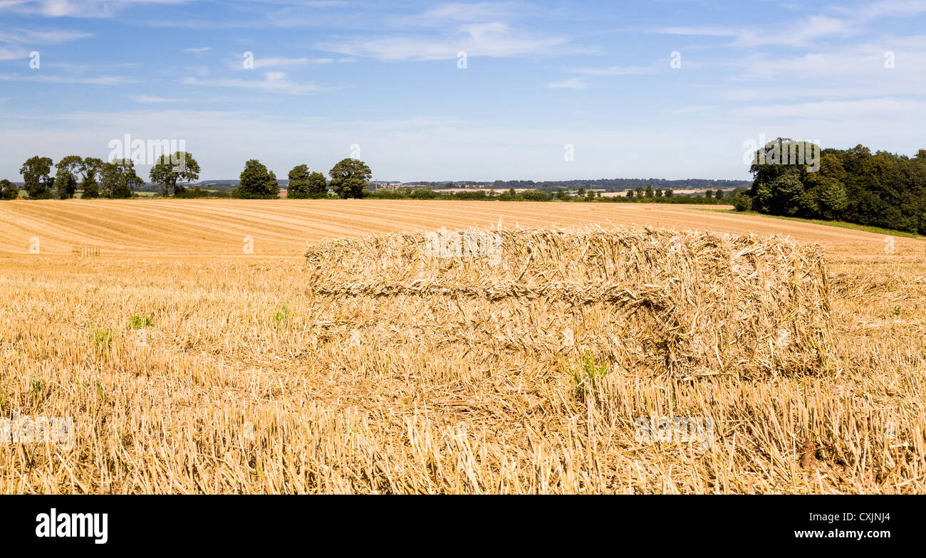 Dramatic blue sky and clouds over harvested corn in Cotswolds in England Stock Photo