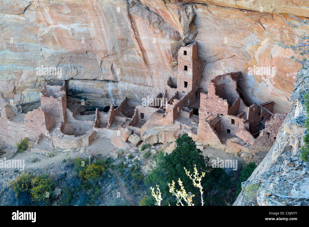 Ancient Indian Ruins at Square Tower House in Navajo Canyon, Mesa Verde National Park, near Cortez, Colorado USA Stock Photo