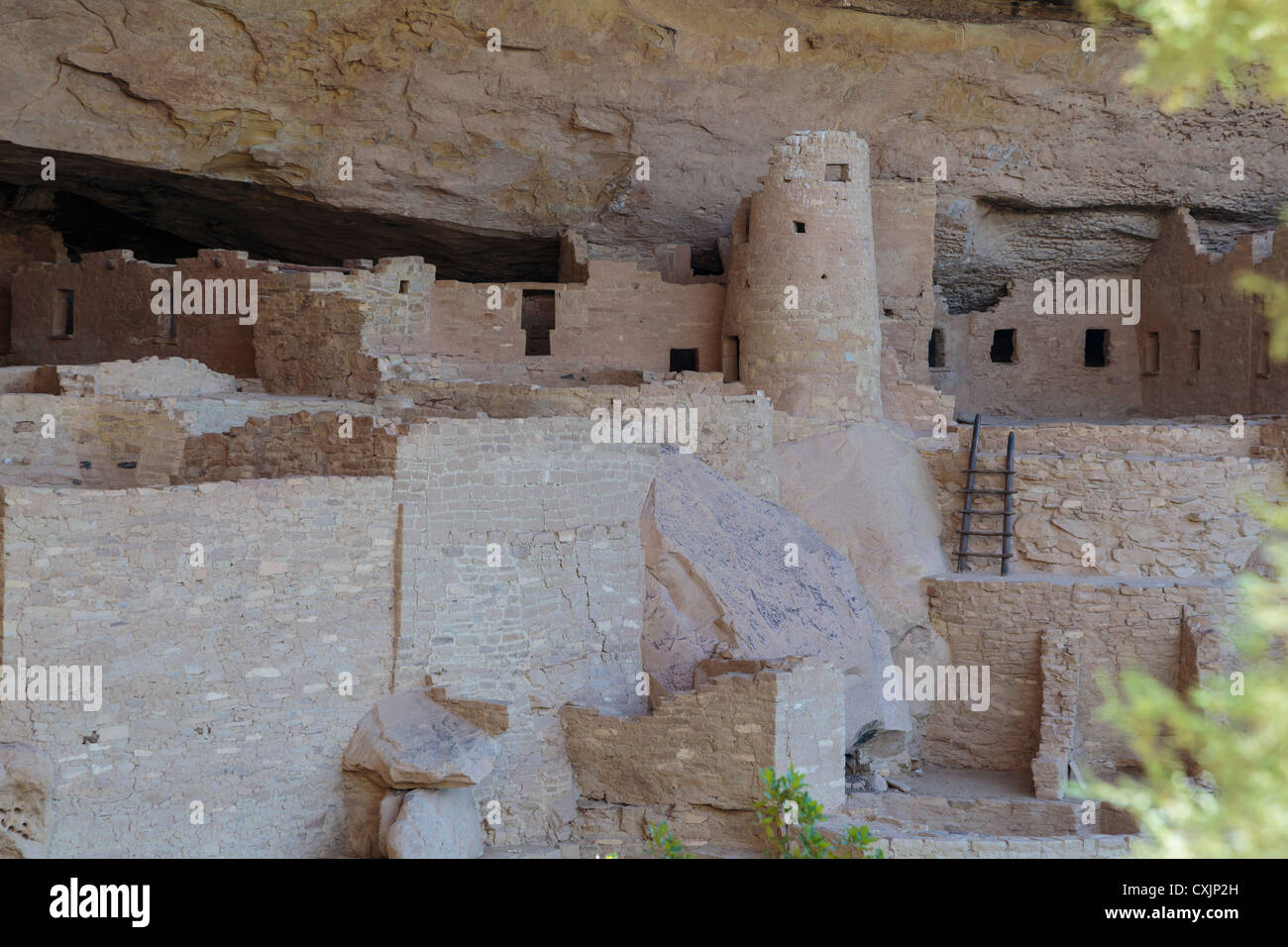 Cliff Palace, Mesa Verde National Park, Colorado USA Stock Photo - Alamy