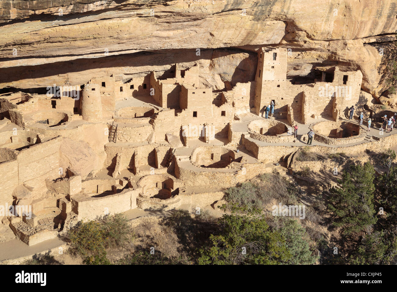 Cliff Palace, Mesa Verde National Park, Colorado USA Stock Photo
