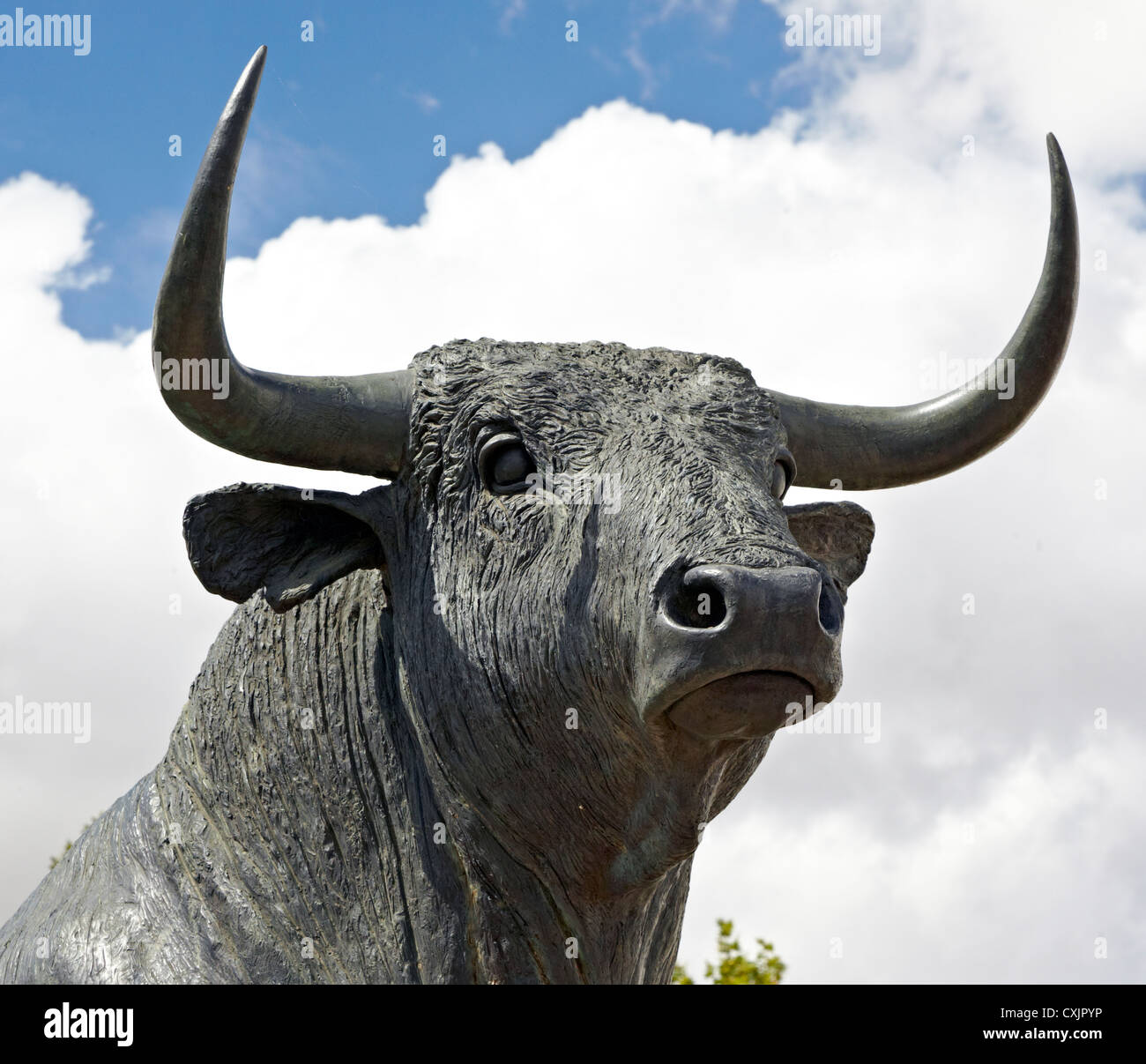 Bronze Bull Statue Outside the Ancient Bullring Ronda Spain Stock Photo