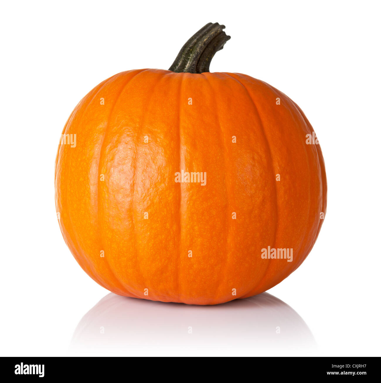 Fresh orange pumpkin isolated on white background Stock Photo - Alamy