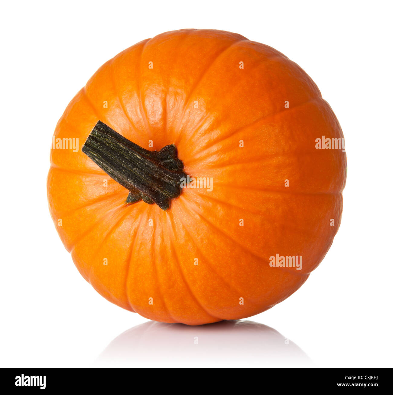 Fresh orange pumpkin isolated on white background. Top view Stock Photo ...