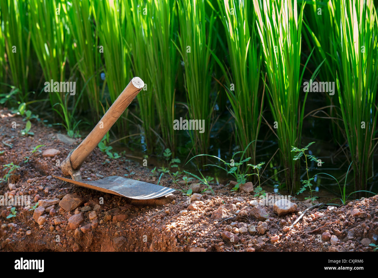 Indian Agriculture Tools