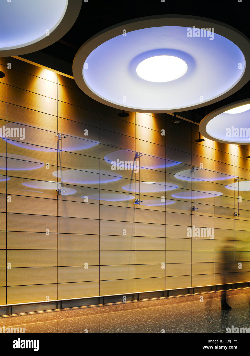 Check In Facility, Dublin Airport, Airport, Europe, Ireland, Dublin