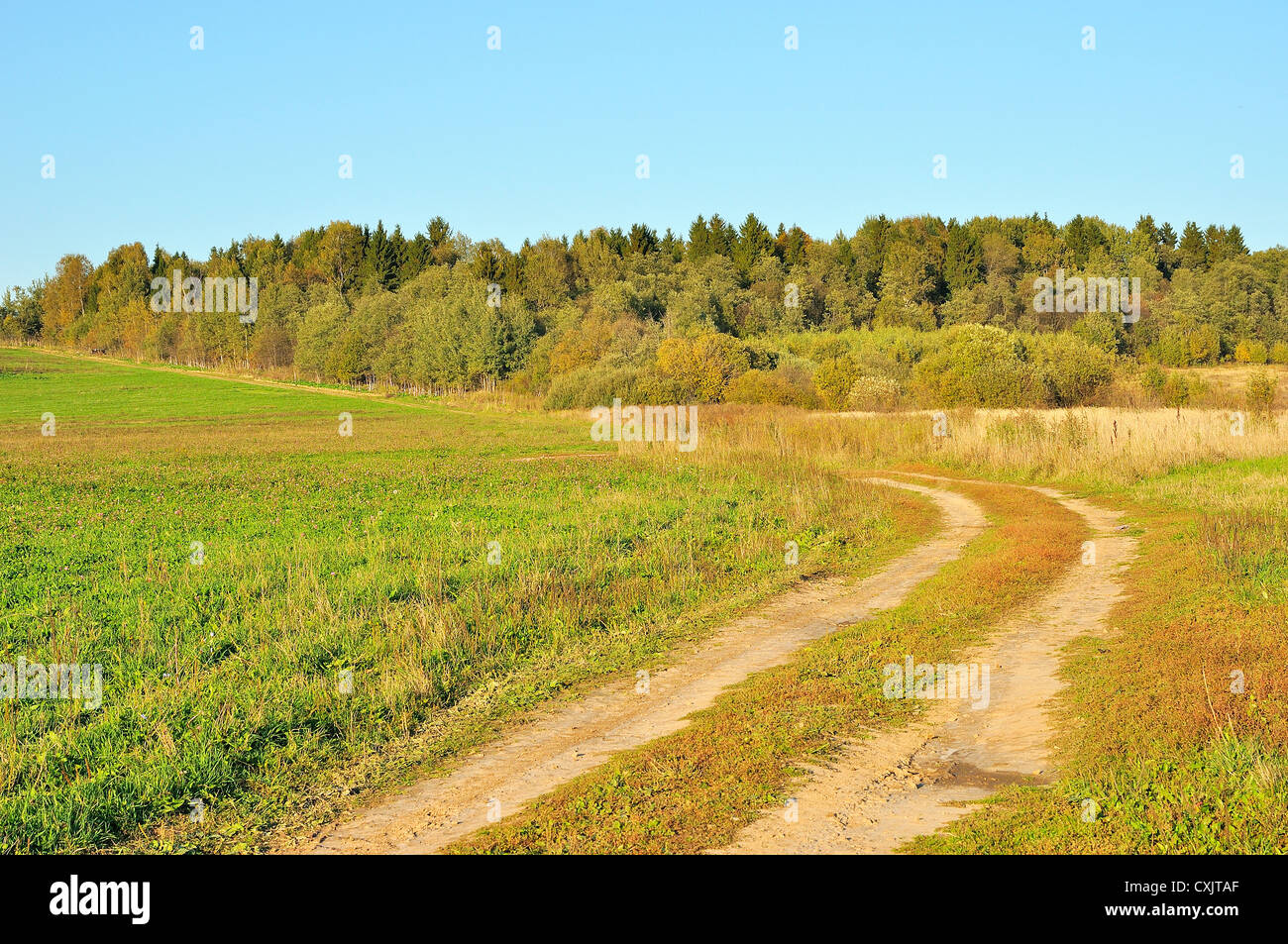 Lush rural wildlife hi-res stock photography and images - Alamy