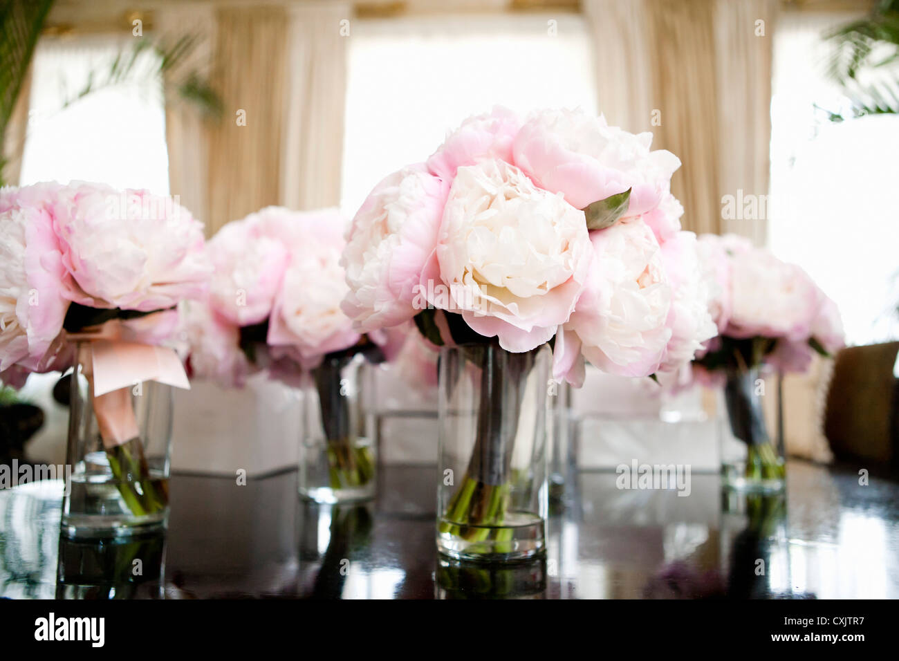 Plant centerpieces hi-res stock photography and images - Alamy