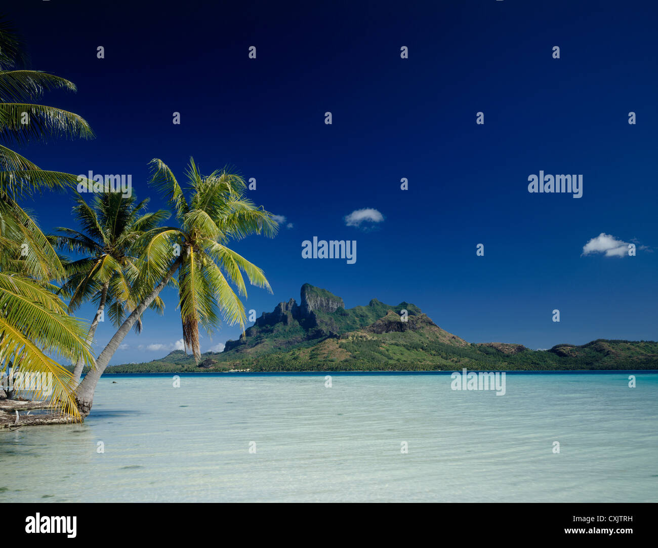 Bora Bora island with palm trees Stock Photo