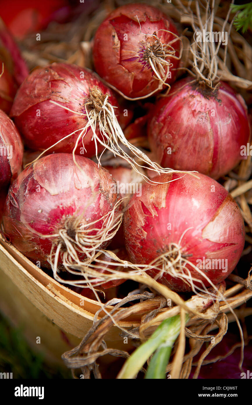 Red onions hi-res stock photography and images - Alamy