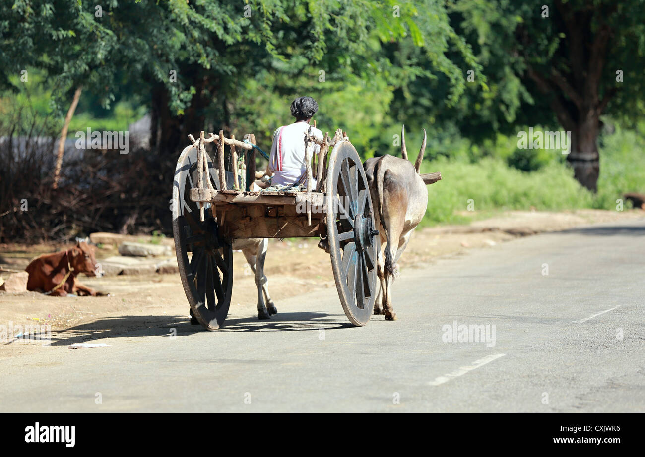 Bullock cart india hires stock photography and images Alamy