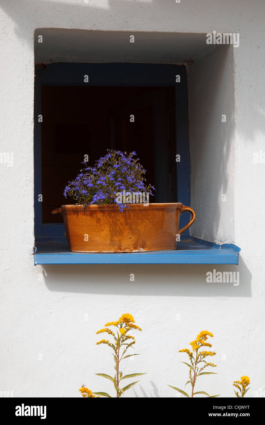 The window with flower Stock Photo Alamy